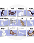 Les Bougeottes Cartes d'apprentissage - Animaux polaires Éducation Les Bougeottes