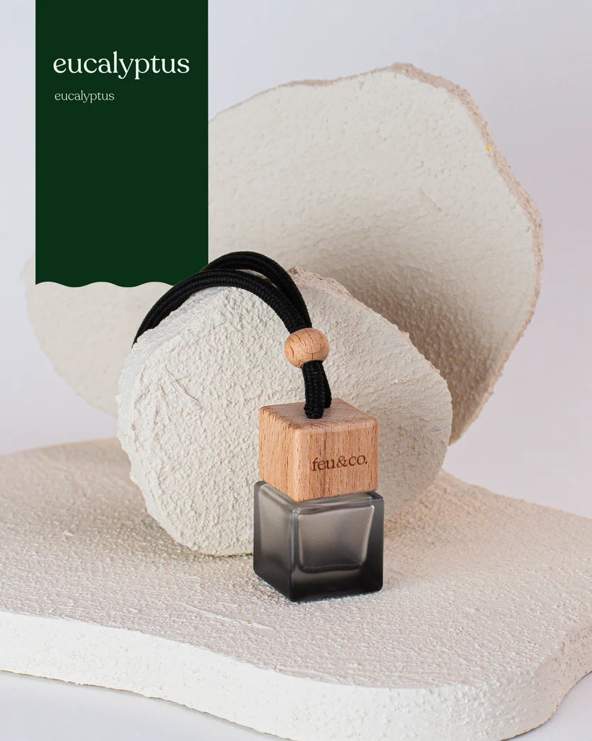 Feu&Co Diffuseur de voiture Maison Feu&Co Eucalyptus