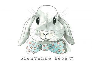 Stéphanie Renière Carte de souhait Bienvenue bébé Accessoires Stéphanie Renière Léo