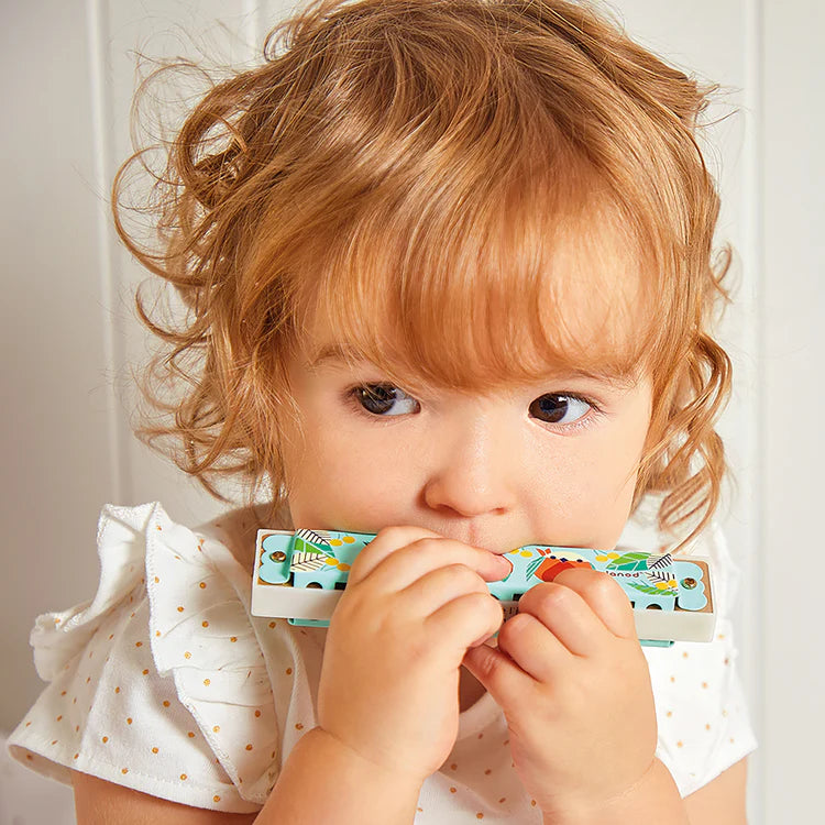 Janod Harmonica Jouets Janod