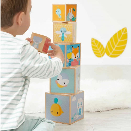 Janod Pyramide 6 cubes - Collection Pure Jouets Janod
