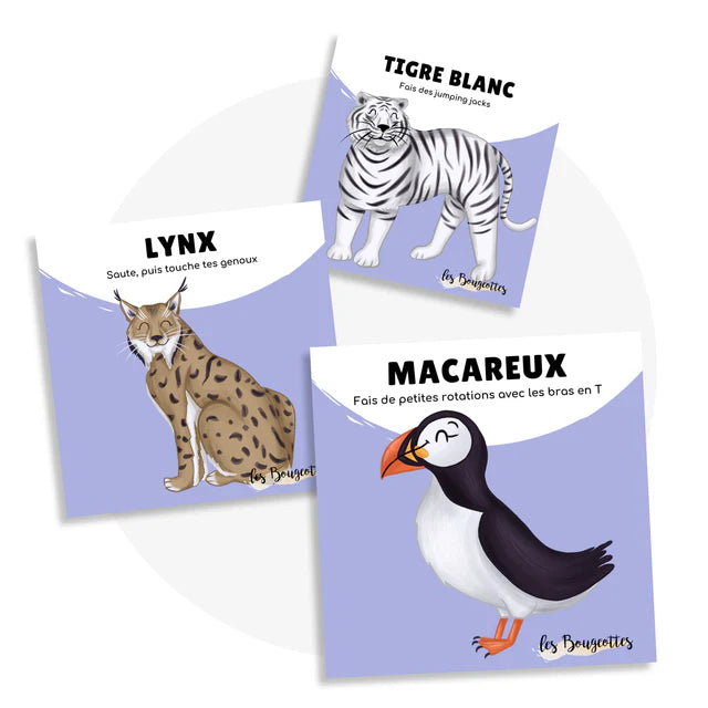 Les Bougeottes Cartes d'apprentissage - Animaux polaires Éducation Les Bougeottes