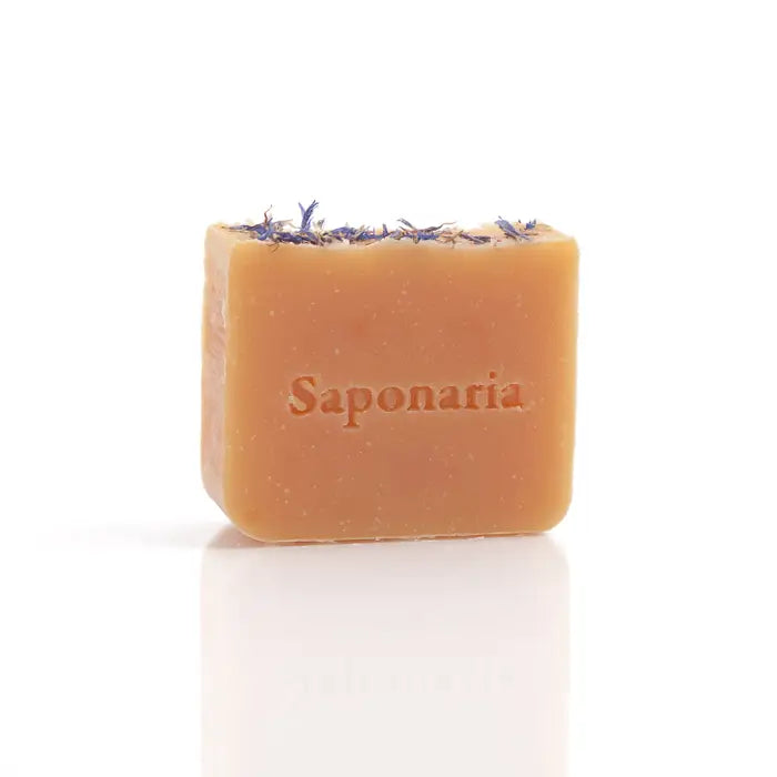 Savonnerie Saponaria Savon