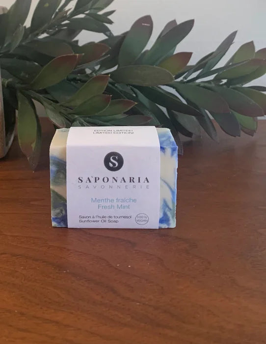 Soap factory Saponaria Bath bomb