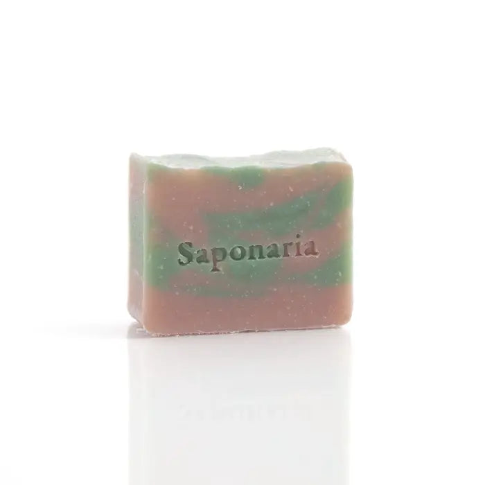 Savonnerie Saponaria Savon Soins corporels Savonnerie Saponaria Baies en folie  